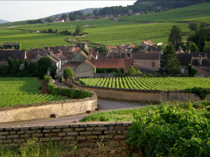 Ghé thăm xứ sở rượu vang Bordeaux