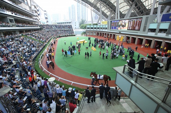 Ghé thăm trường đua ngựa Shatin ở Hong Kong